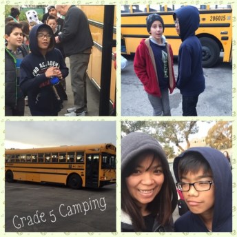 Processed with MOLDIV